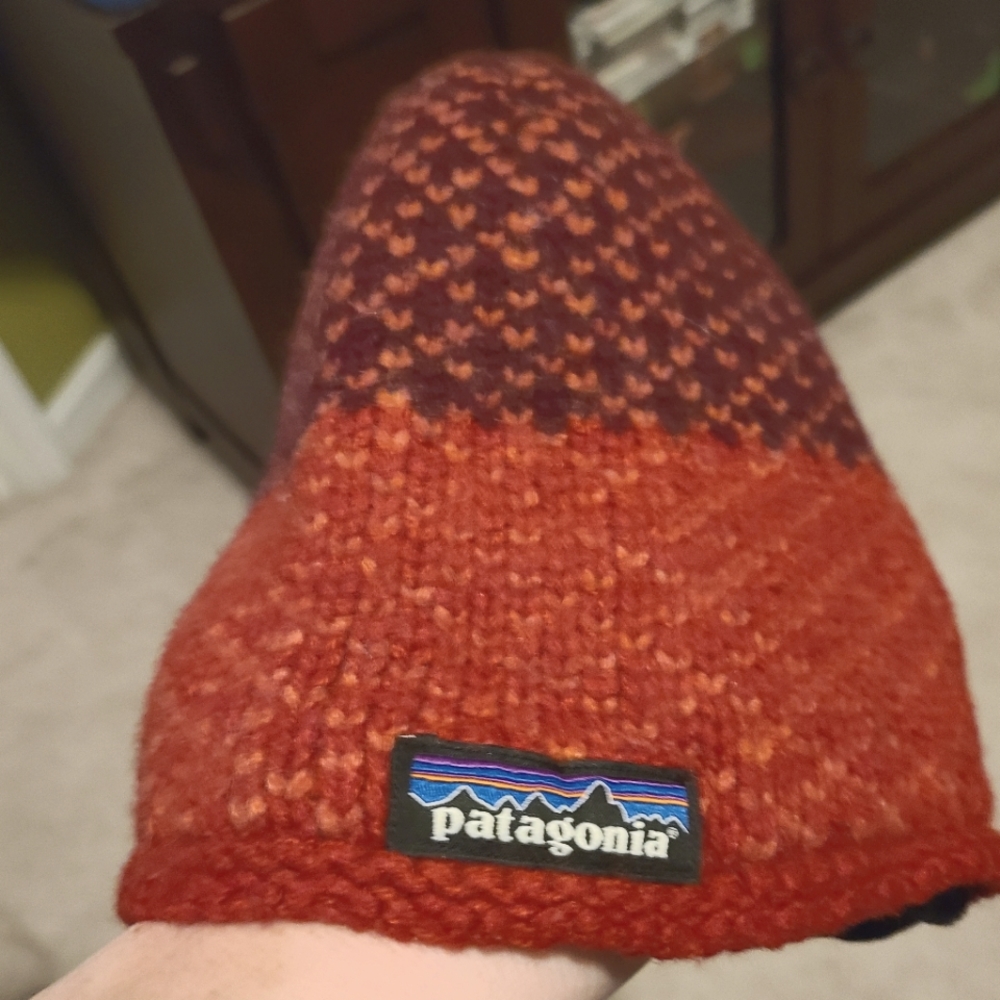 Patagonia winter hat